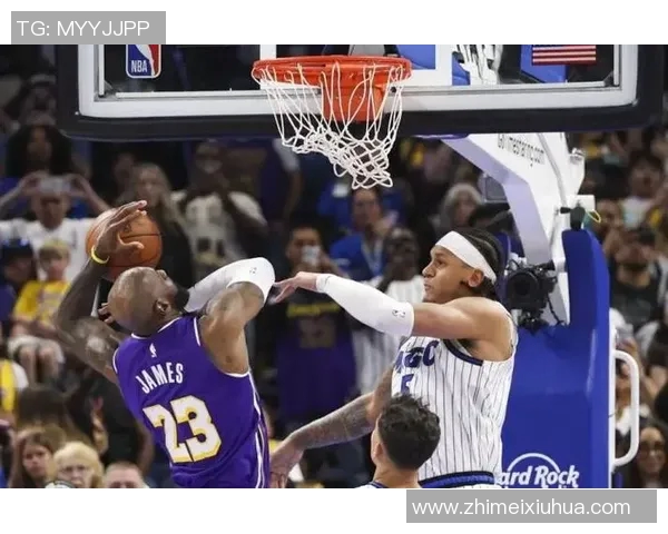 篮球明星5号的传奇之路与奋斗精神的启示